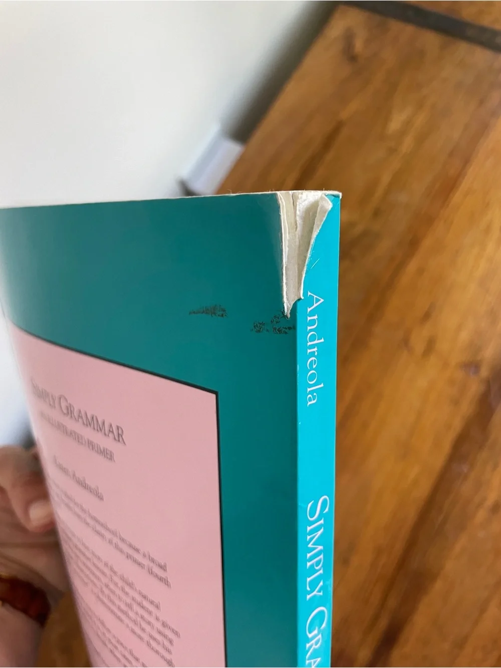 Simply Grammar An Illustrated Primer by Karen Andreola